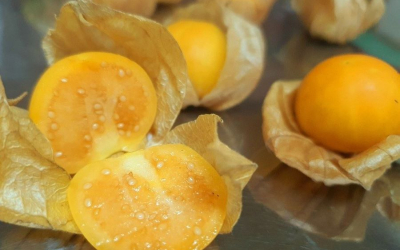 Chế Biến Thù Lù Nam Mỹ Những món ngon và dễ làm