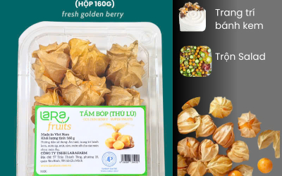 Mua trái tầm bóp Đà Lạt ở đâu ngon và chất lượng