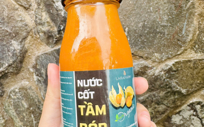 Nước Cốt Thù Lù Nam Mỹ - Thức Uống Dinh Dưỡng Cho Sức Khỏe