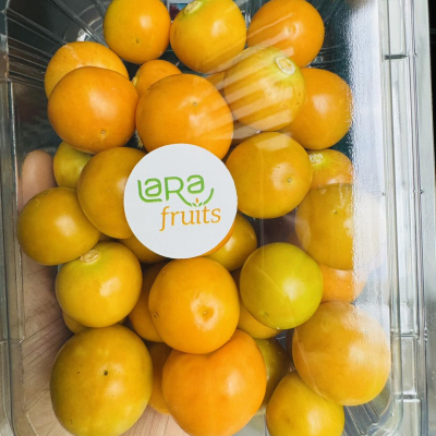 Tầm bóp Nam Mỹ bóc vỏ hộp 300g