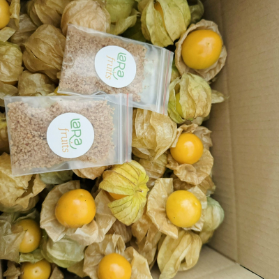 Tầm Bóp Nam Mỹ hộp 500g - CÔNG TY TNHH LARAFARM