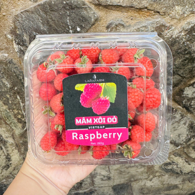 Phúc bồn tử - Mâm xôi đỏ tươi Đà Lạt hộp 160g (Fresh Raspberry)- CÔNG TY TNHH LARAFARM