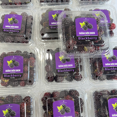 Phúc bồn tử - Mâm xôi đen Đà Lạt (Fresh Blackberry) hộp 160g - CÔNG TY TNHH LARAFARM