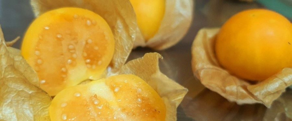 Chế Biến Thù Lù Nam Mỹ Những món ngon và dễ làm