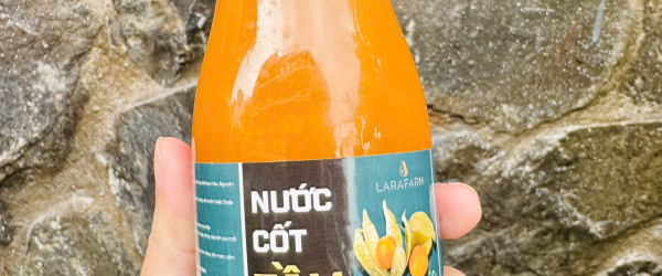 Nước Cốt Thù Lù Nam Mỹ - Thức Uống Dinh Dưỡng Cho Sức Khỏe